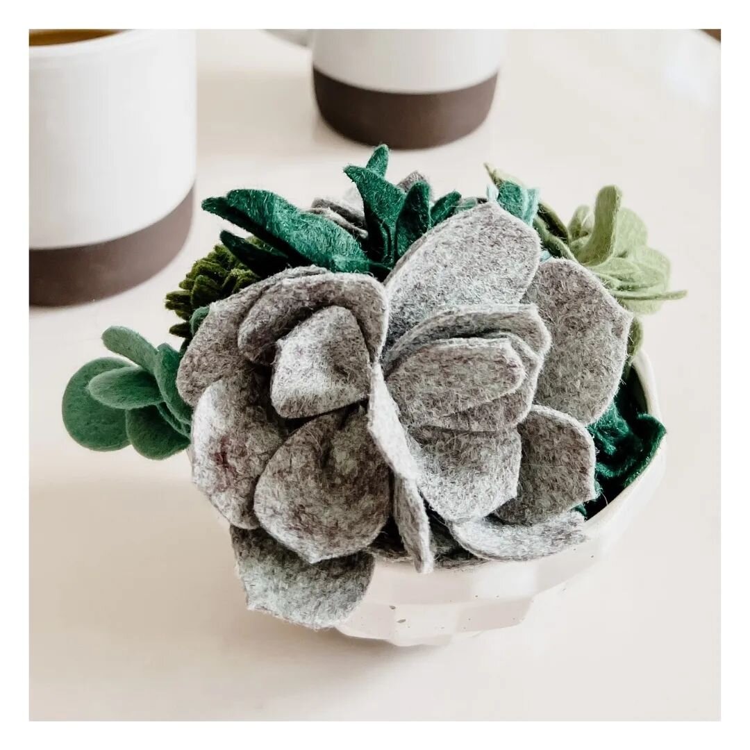 In collaboration with @sewsongboutique, we made some fun felt succulents in concrete planters. A perfect gift that will last year-round! ;-)

Small: $70 
Large: $95 

See Stories for more photos

DM for shipping options
.
.
.
.
.
#flowersforyourhome 