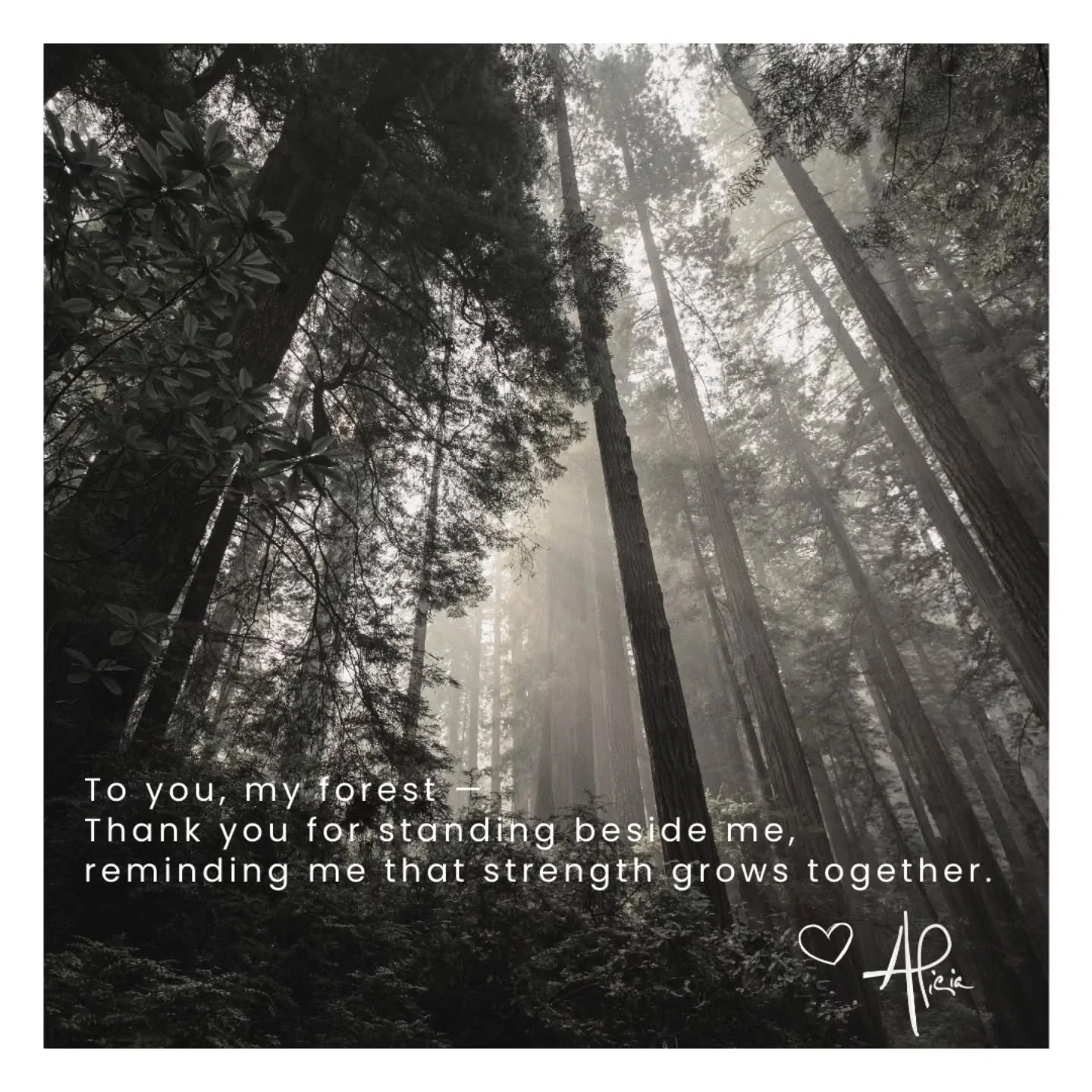 Well, we did it! I&rsquo;m completely humbled by the way you all showed up, spread the word, and demonstrated how impactful small communities can be when we come together. It really does take a village, and I&rsquo;m endlessly grateful for ours.

It&