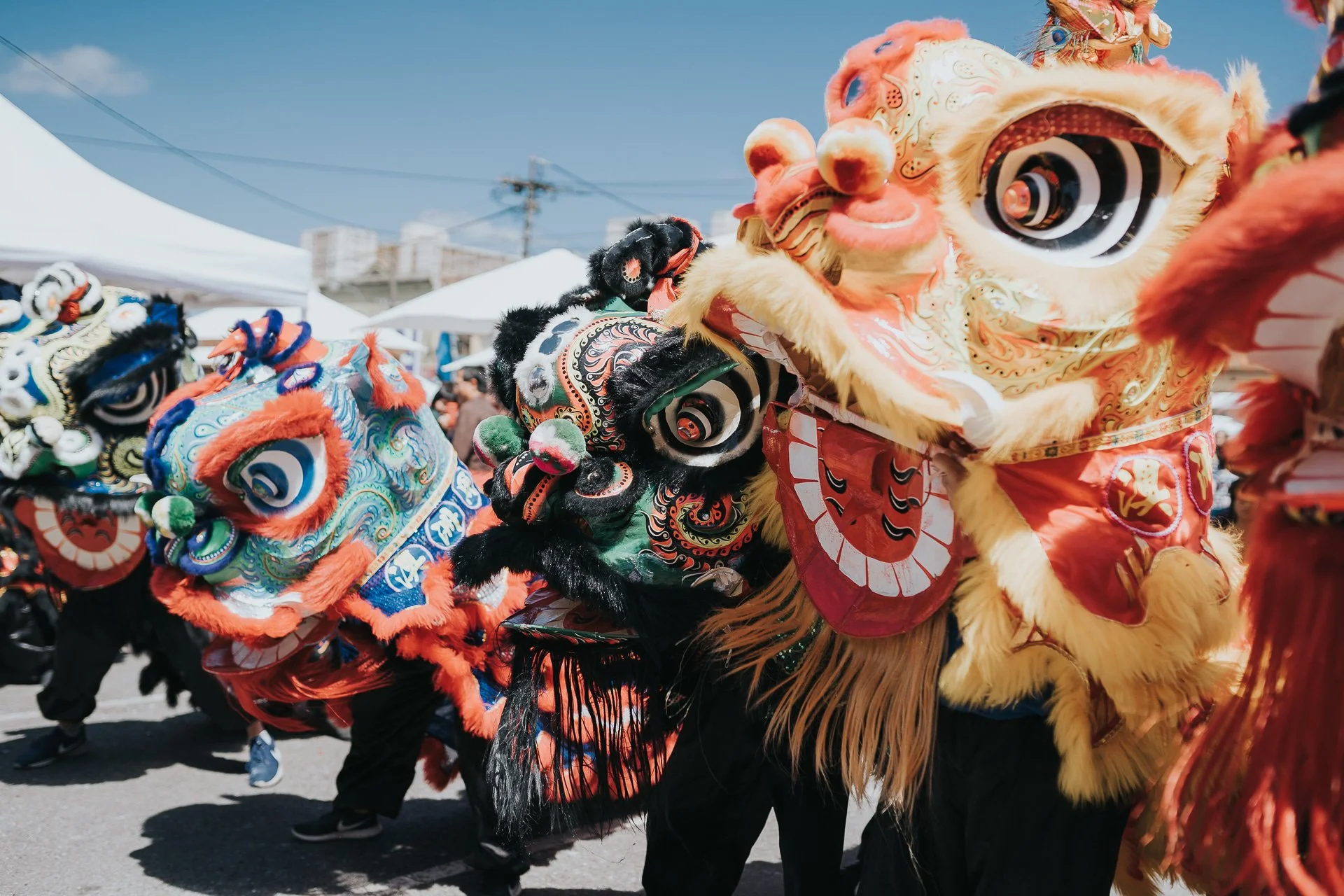 Lunar New Year Lion Dance Performance @ Mt Gravatt, Westfield Sydney, Chatswood &amp; Melbourne Central