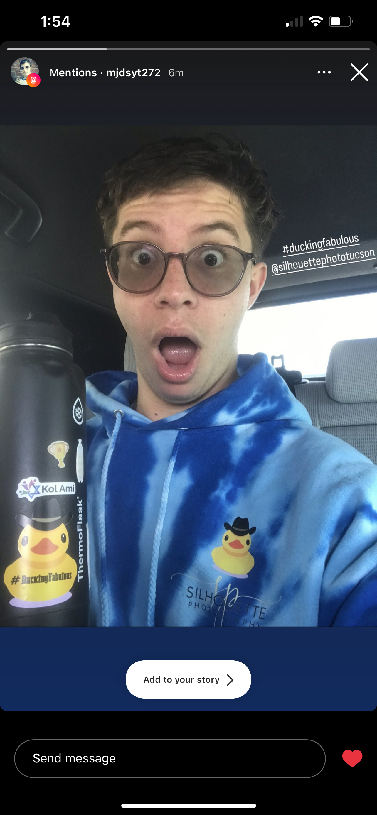 ducking with silhouette photo grad