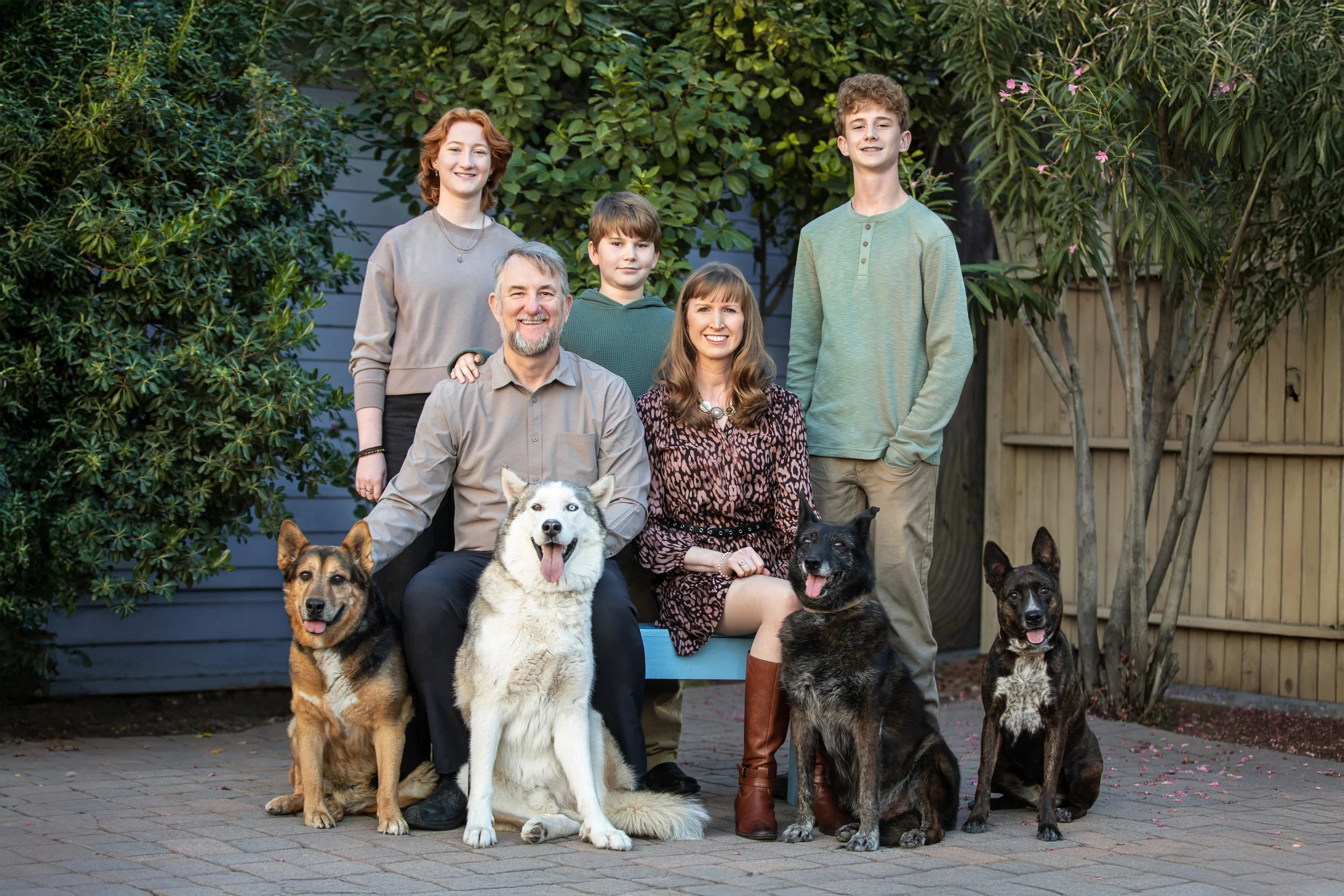 tucson family photos with dogs