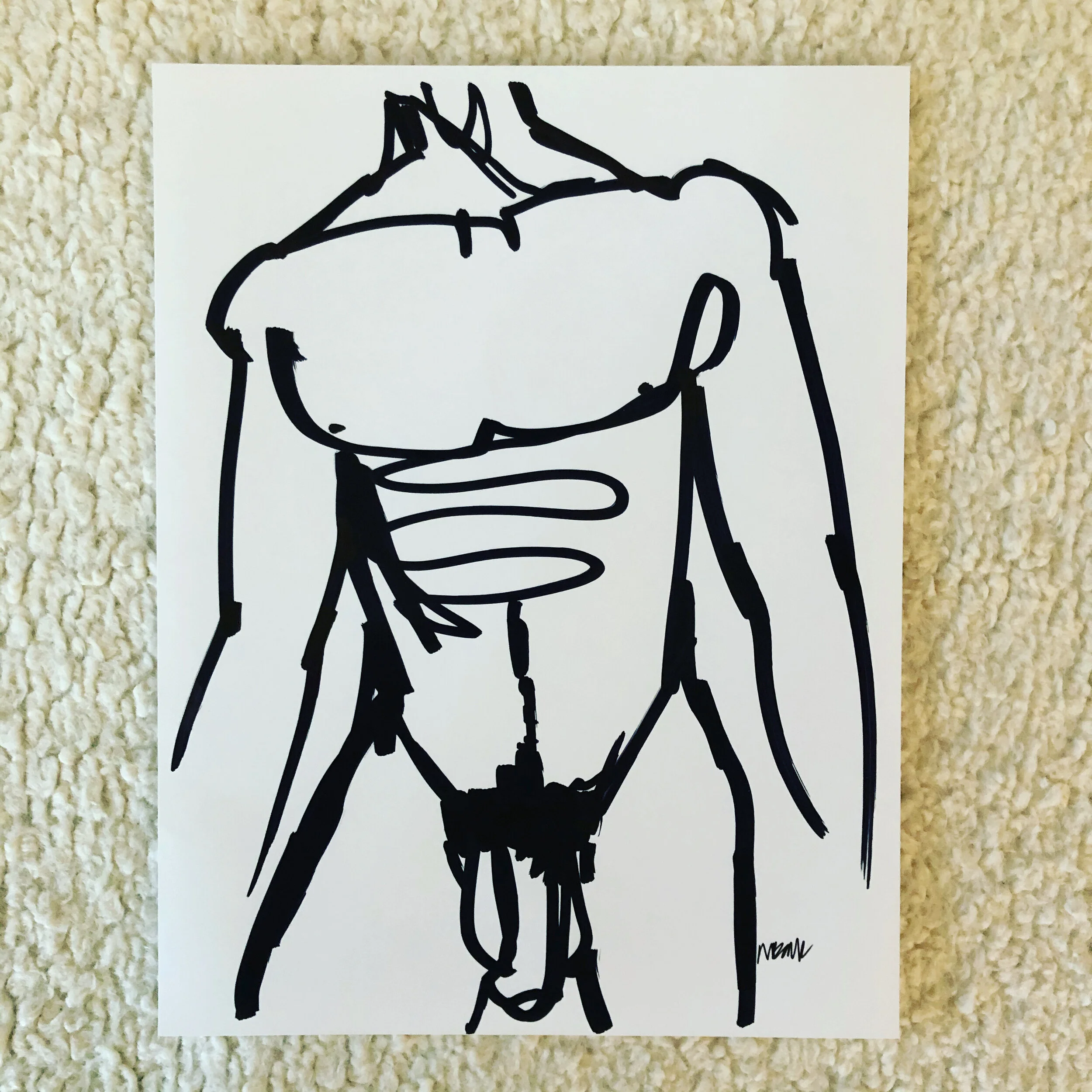 FIGURE NO. 1