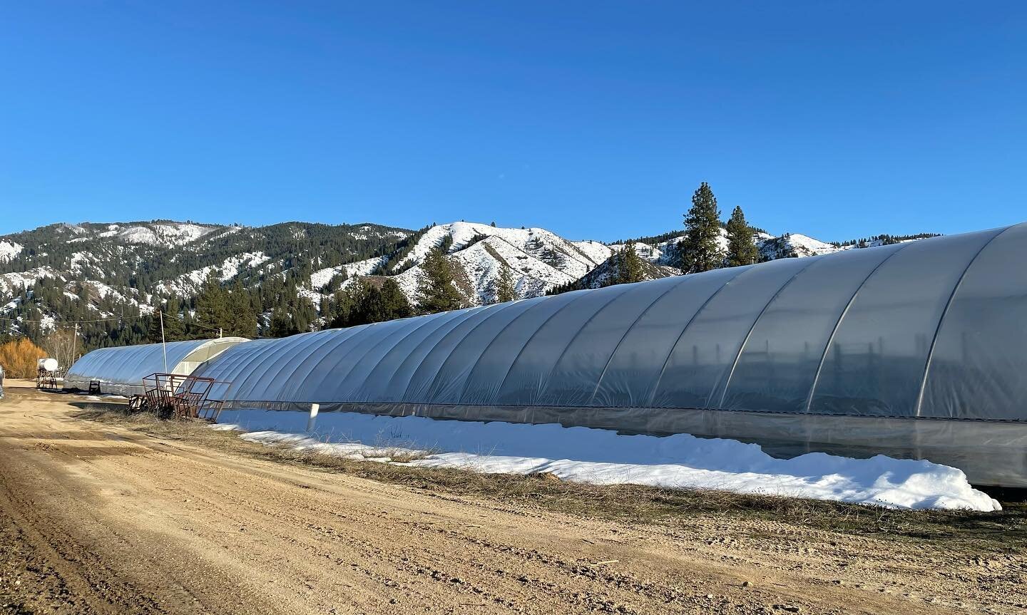 Spring is slowly making it&rsquo;s way here. -
-
-
-
-
#views #wardsgreenhouse #spring2021 #greenhouse