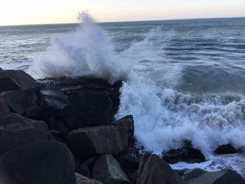 malibu creek state park.JPG