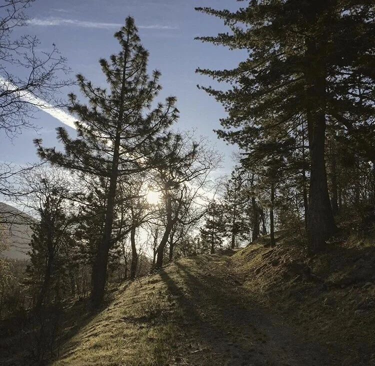 San Gabriel Moutains.JPG