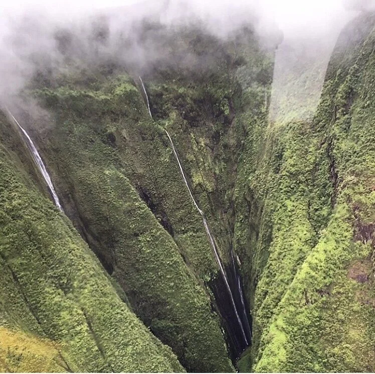 Where Jurassic Park was Filmed