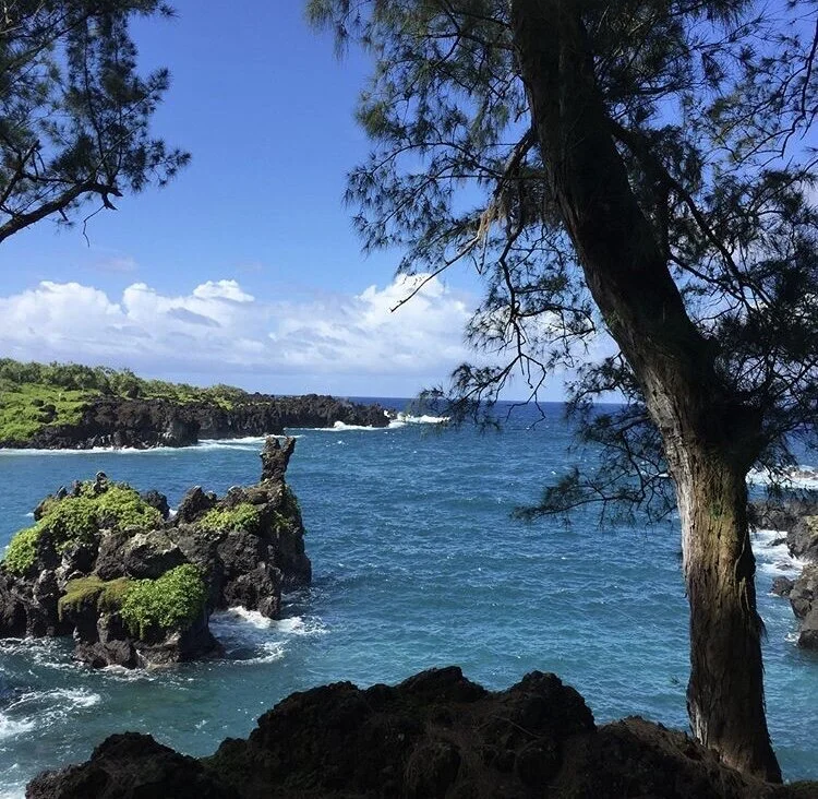 Black Sand beach view 1