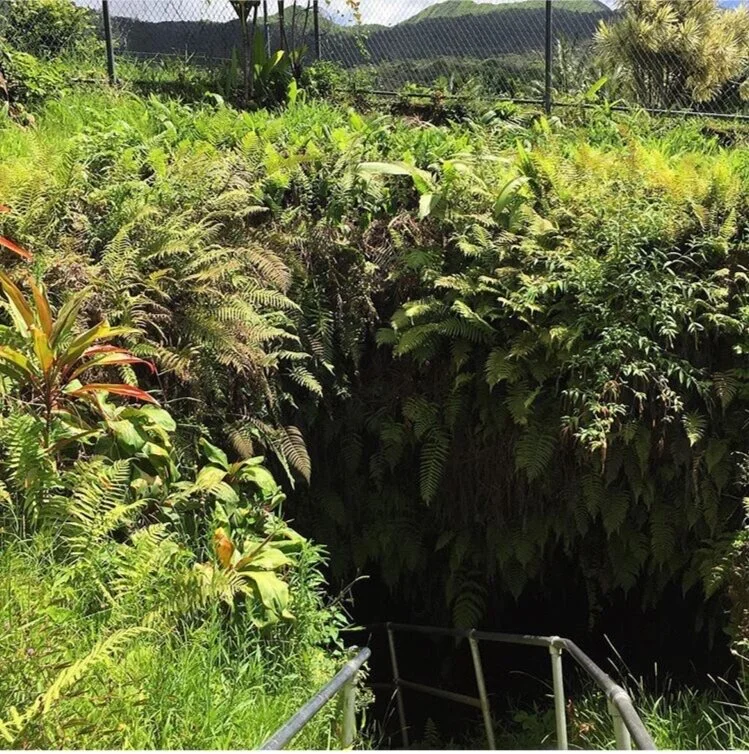 Underground Cavern Entrance