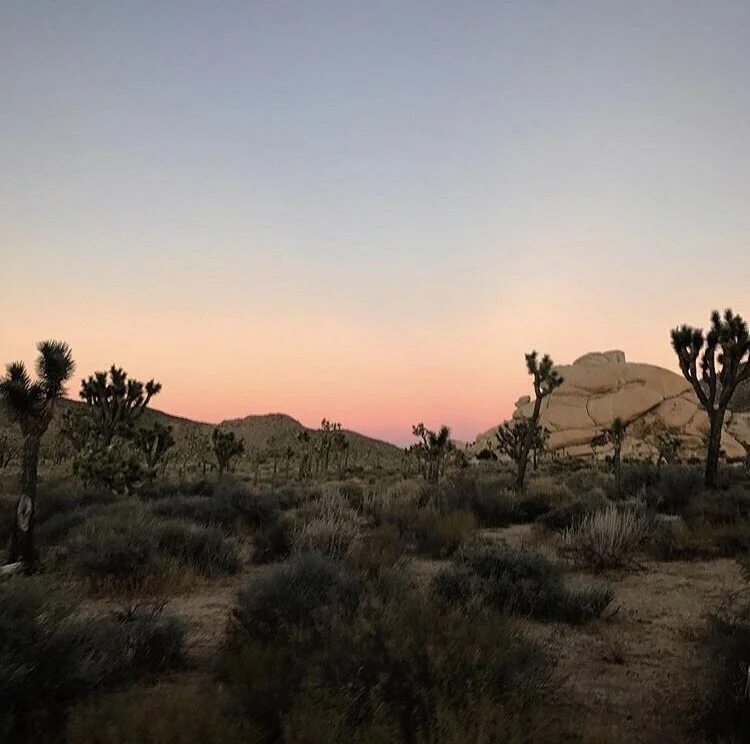 Joshua Tree National Park 