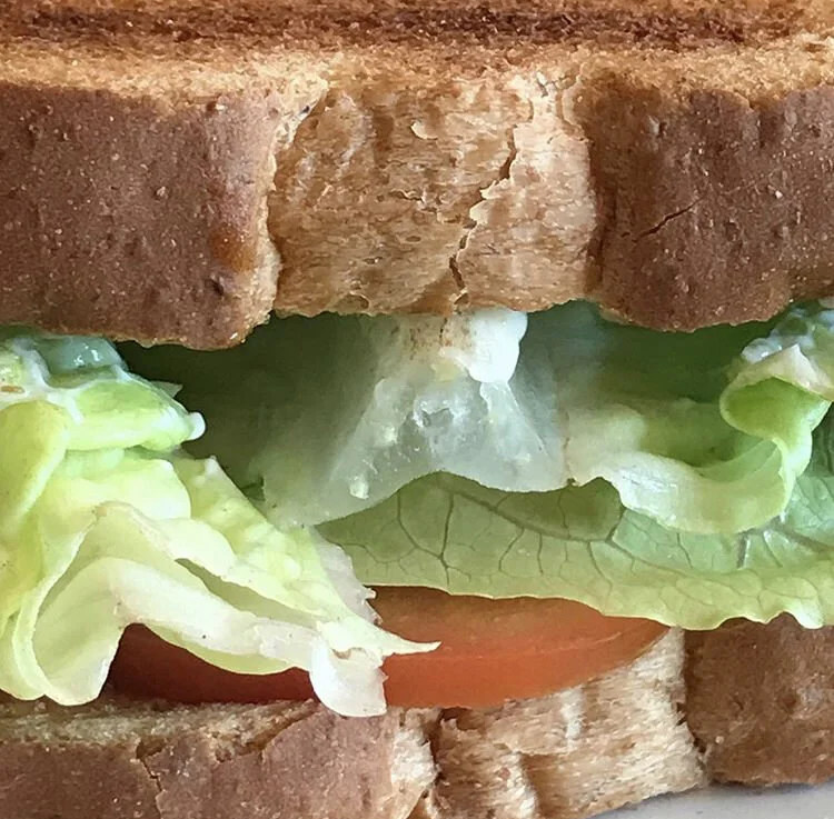 LT - Lettuce Tomato & mayonnaise sandwich 