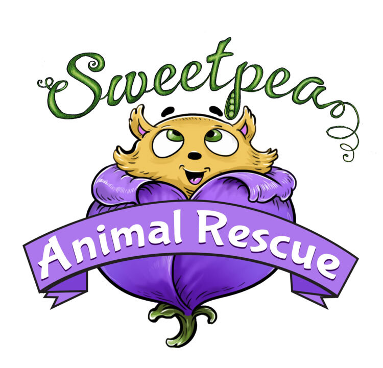 Animal rescue — Sweet Pea Animal Hospital and Rescue