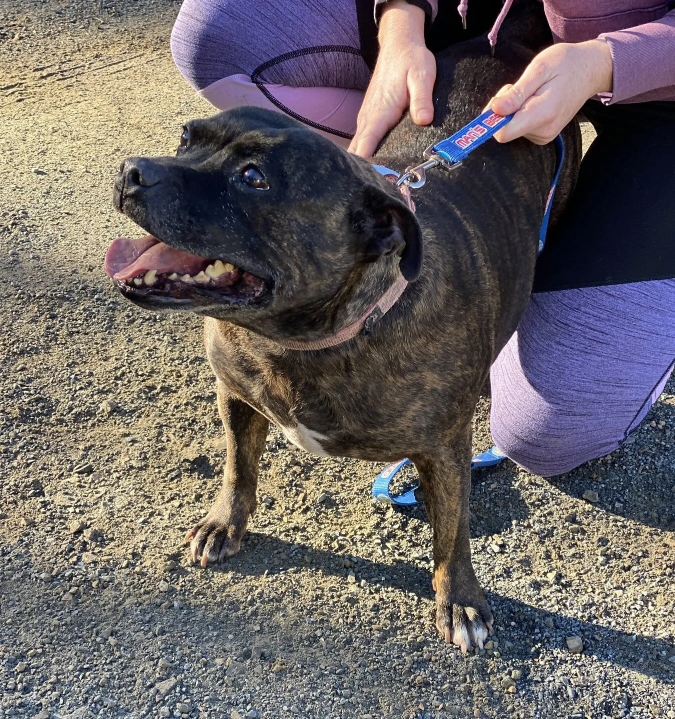 Ellie &amp; Nicky - Adopted!