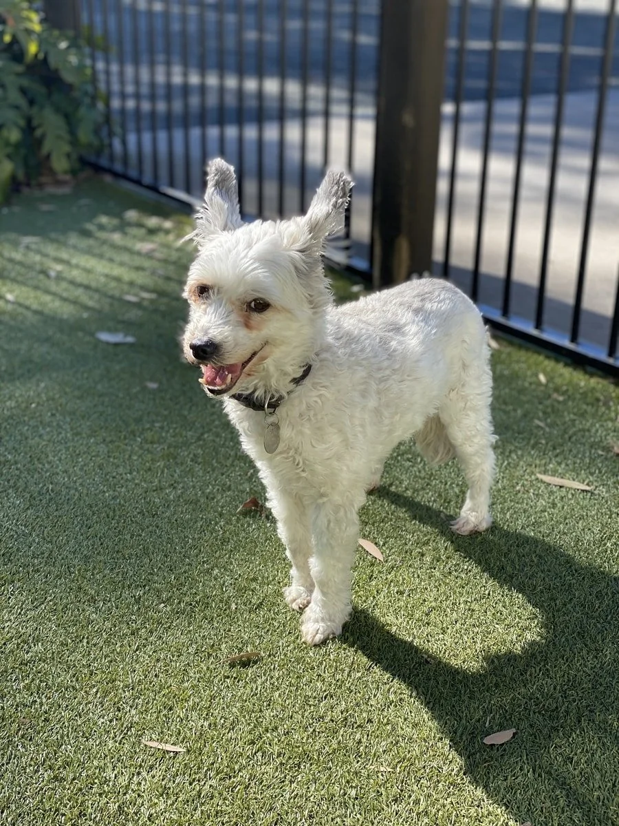 Webp.net-resizeimage (71).jpg