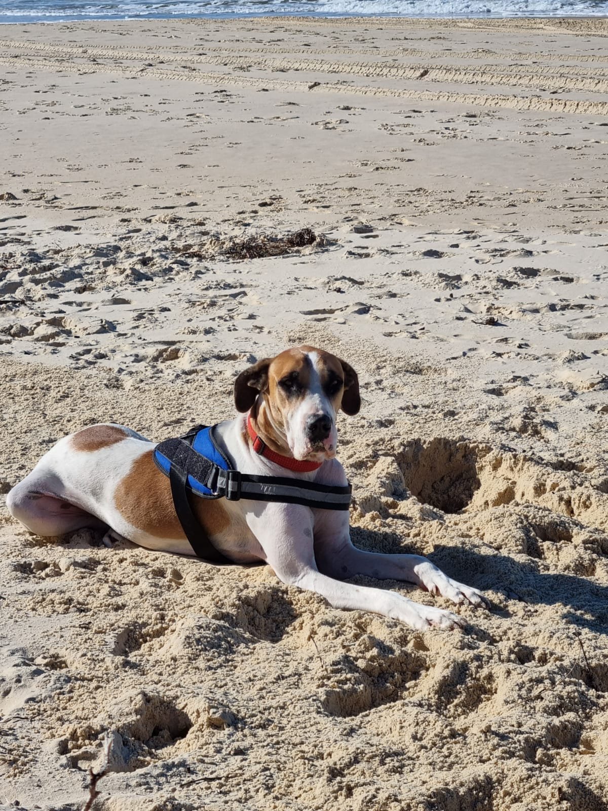 Copy of 328db507-c8c9-4fe1-8a8c-780bc0c1f7ac.jpg