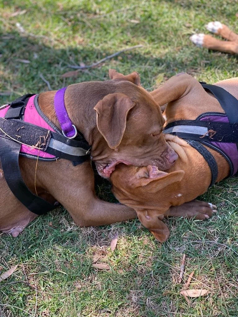 WhatsApp Image 2023-11-03 at 9.23.35 AM (3).jpeg