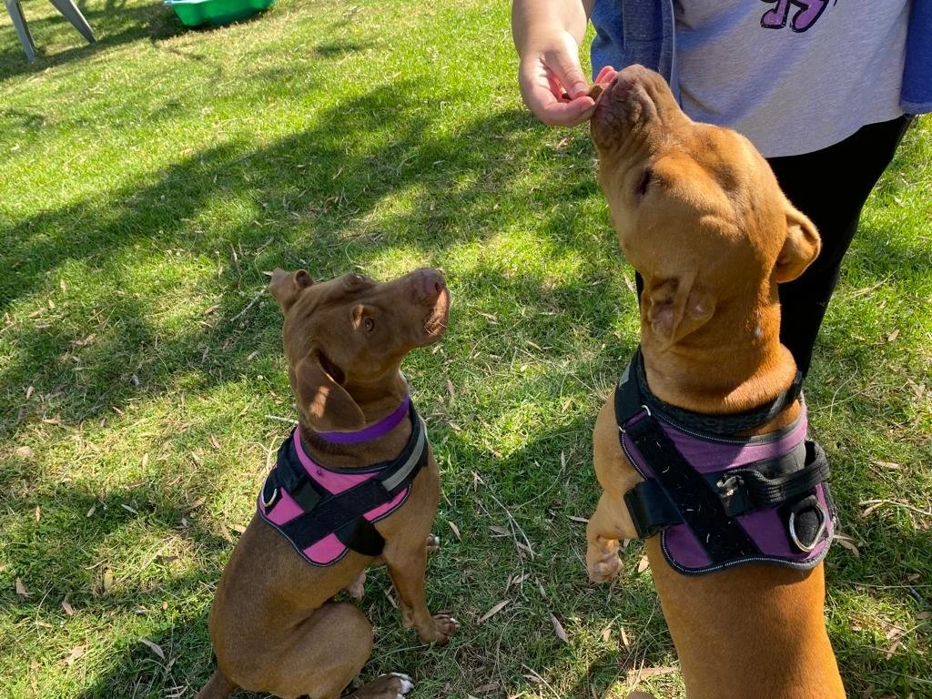 WhatsApp Image 2023-11-03 at 9.23.35 AM (4).jpeg