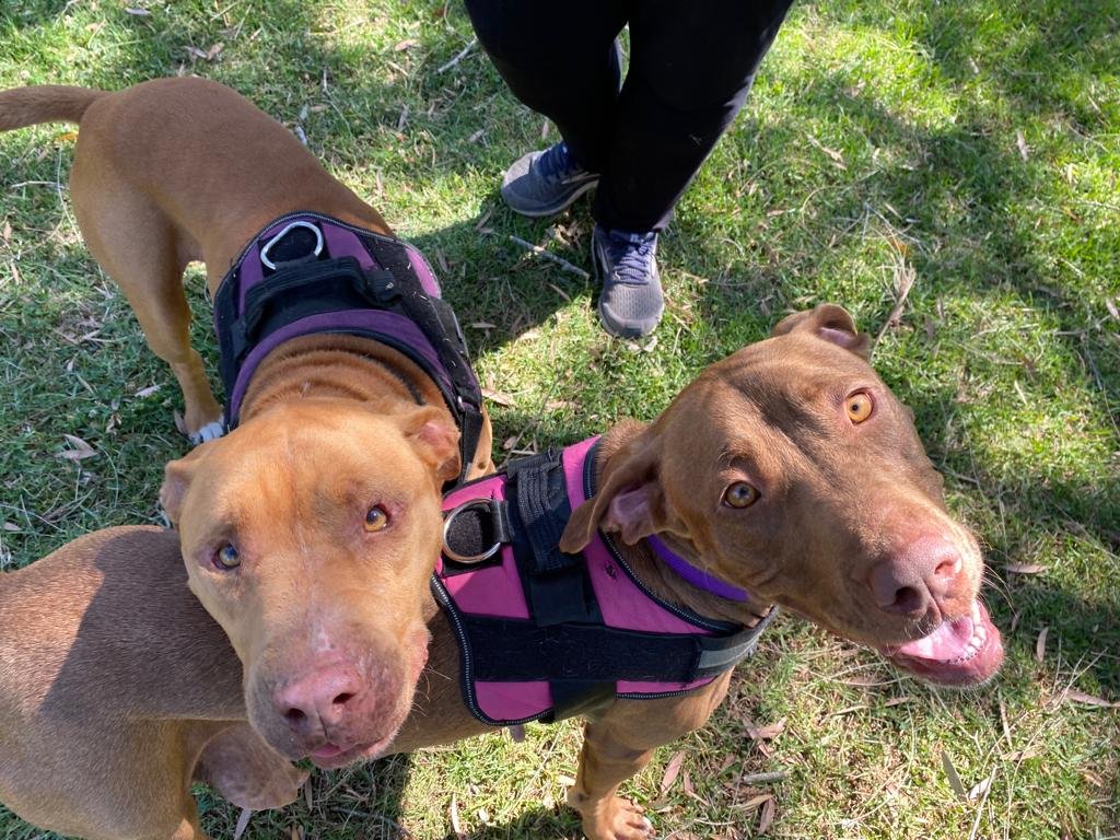 WhatsApp Image 2023-11-03 at 9.23.35 AM (6).jpeg