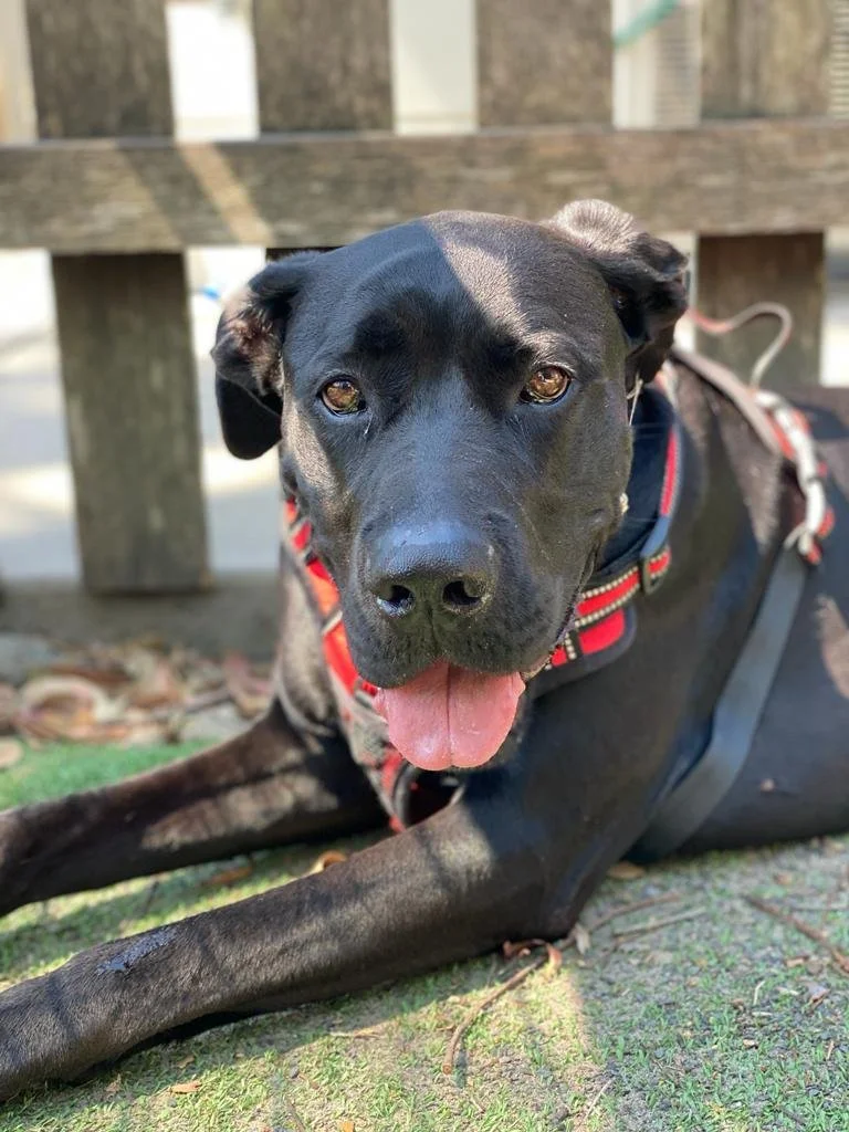 WhatsApp Image 2023-11-03 at 9.18.14 AM (1).jpeg