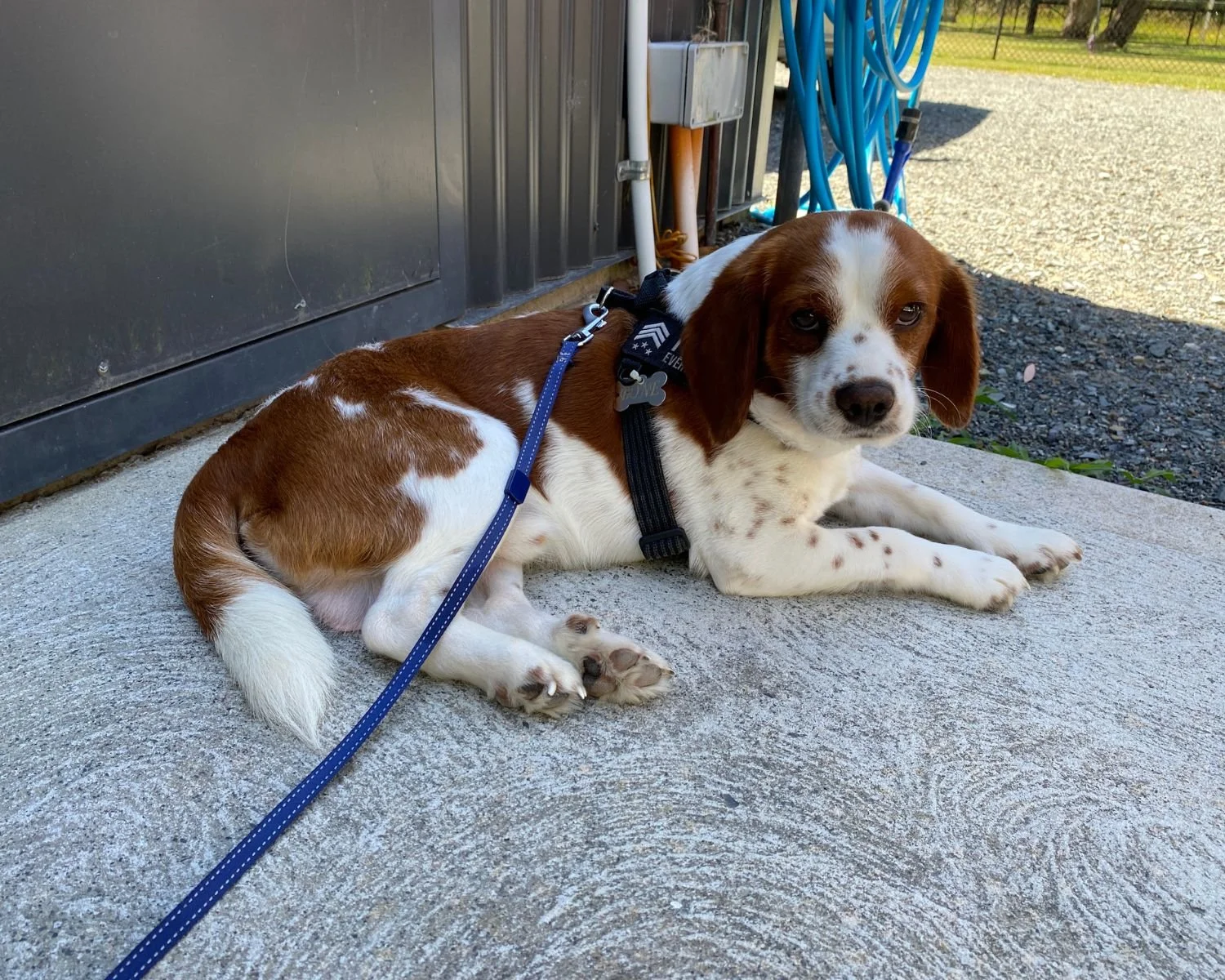 bagel-6.jpg