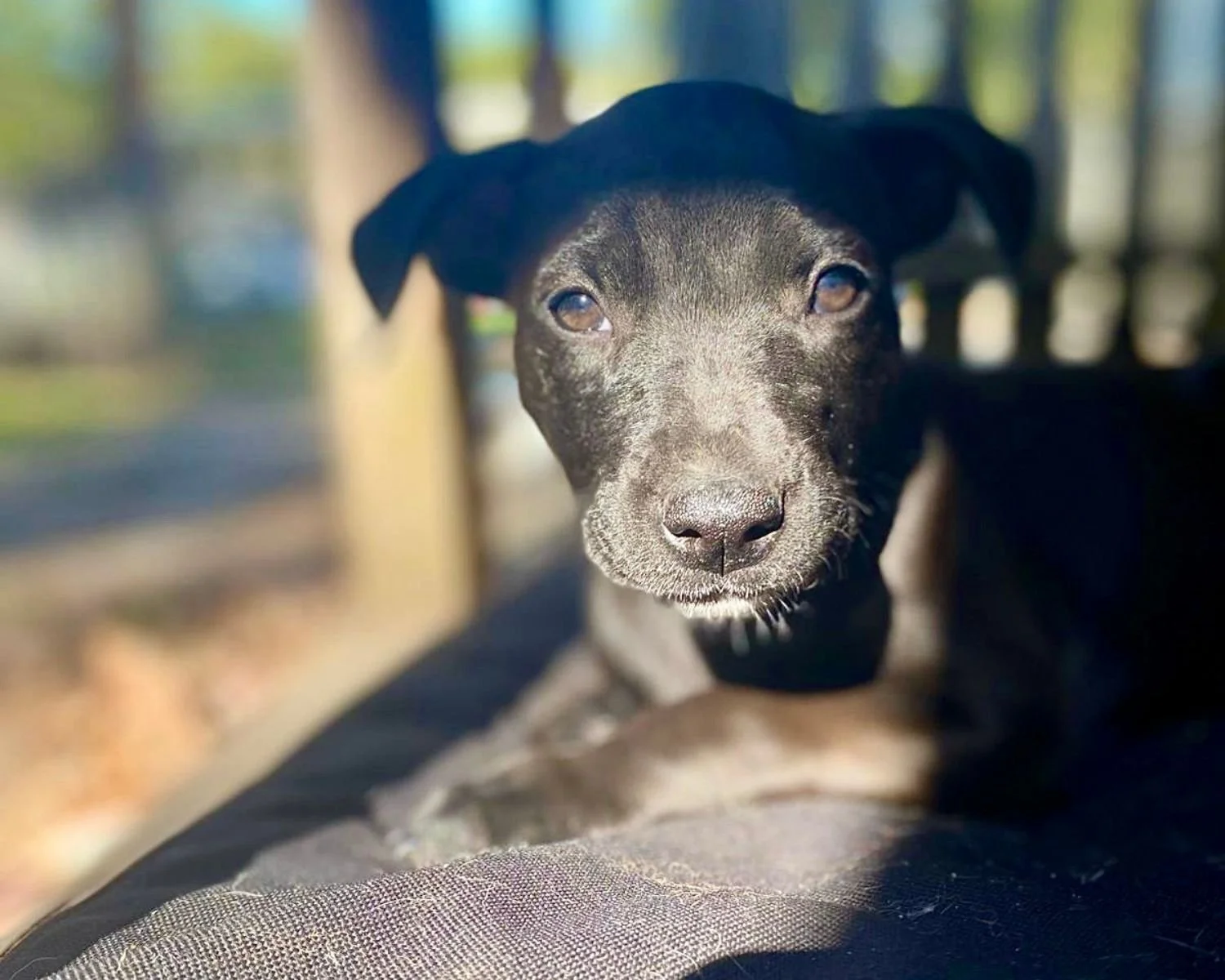 ellie-6.jpg