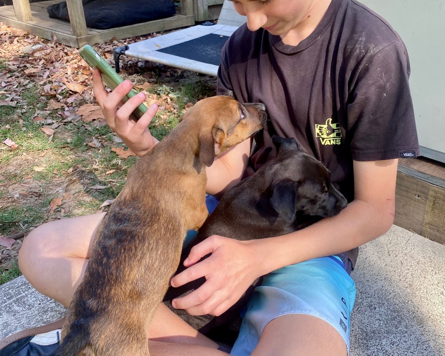 ellie-18.jpg