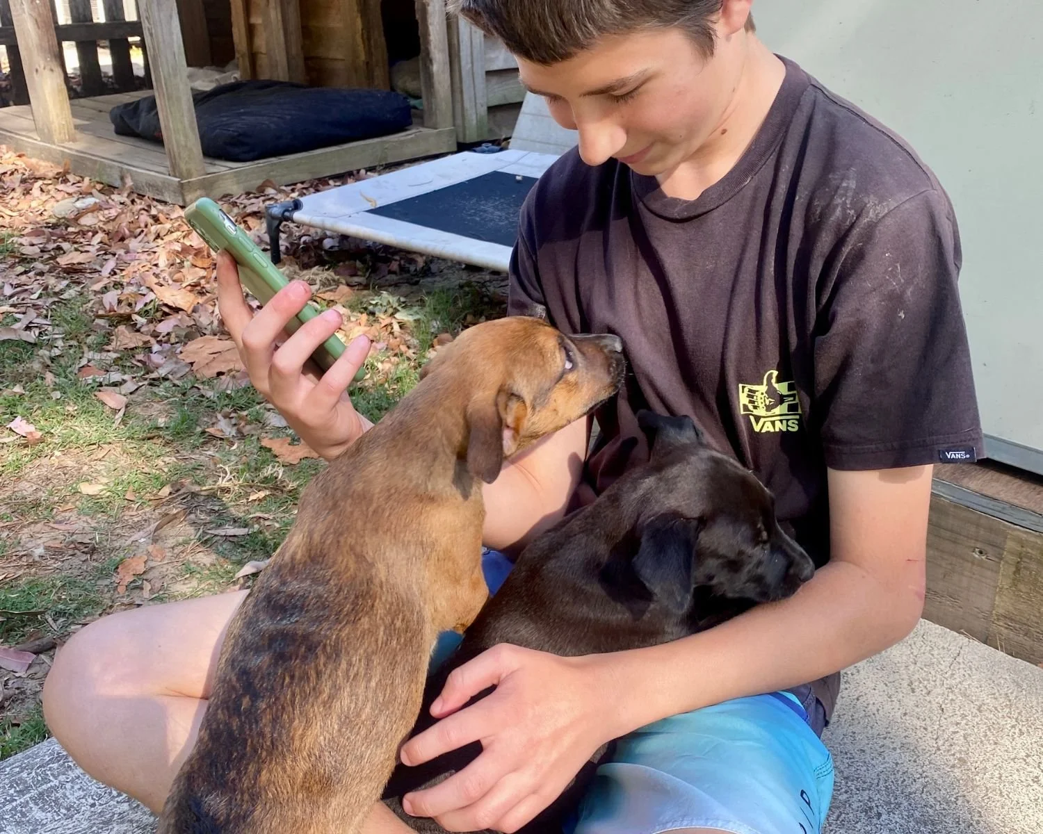 ollie-16.jpg