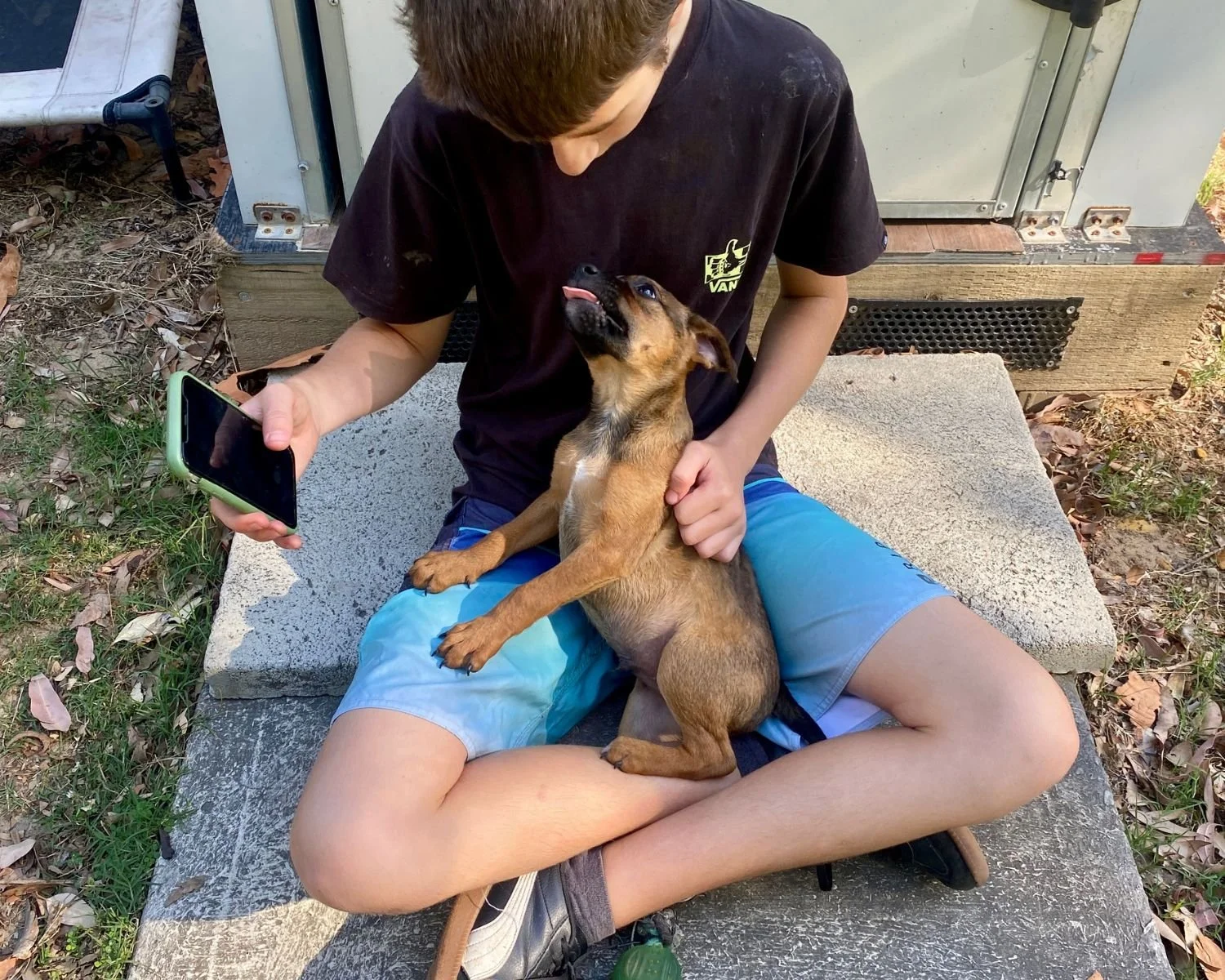 ollie-17.jpg