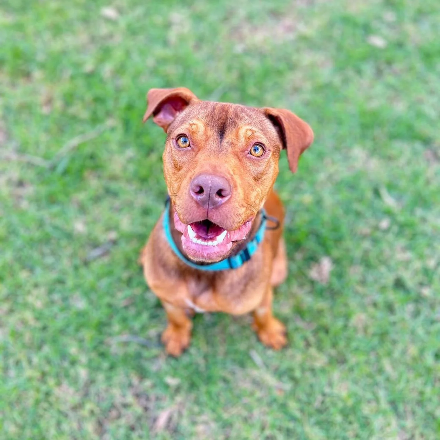 Tucker