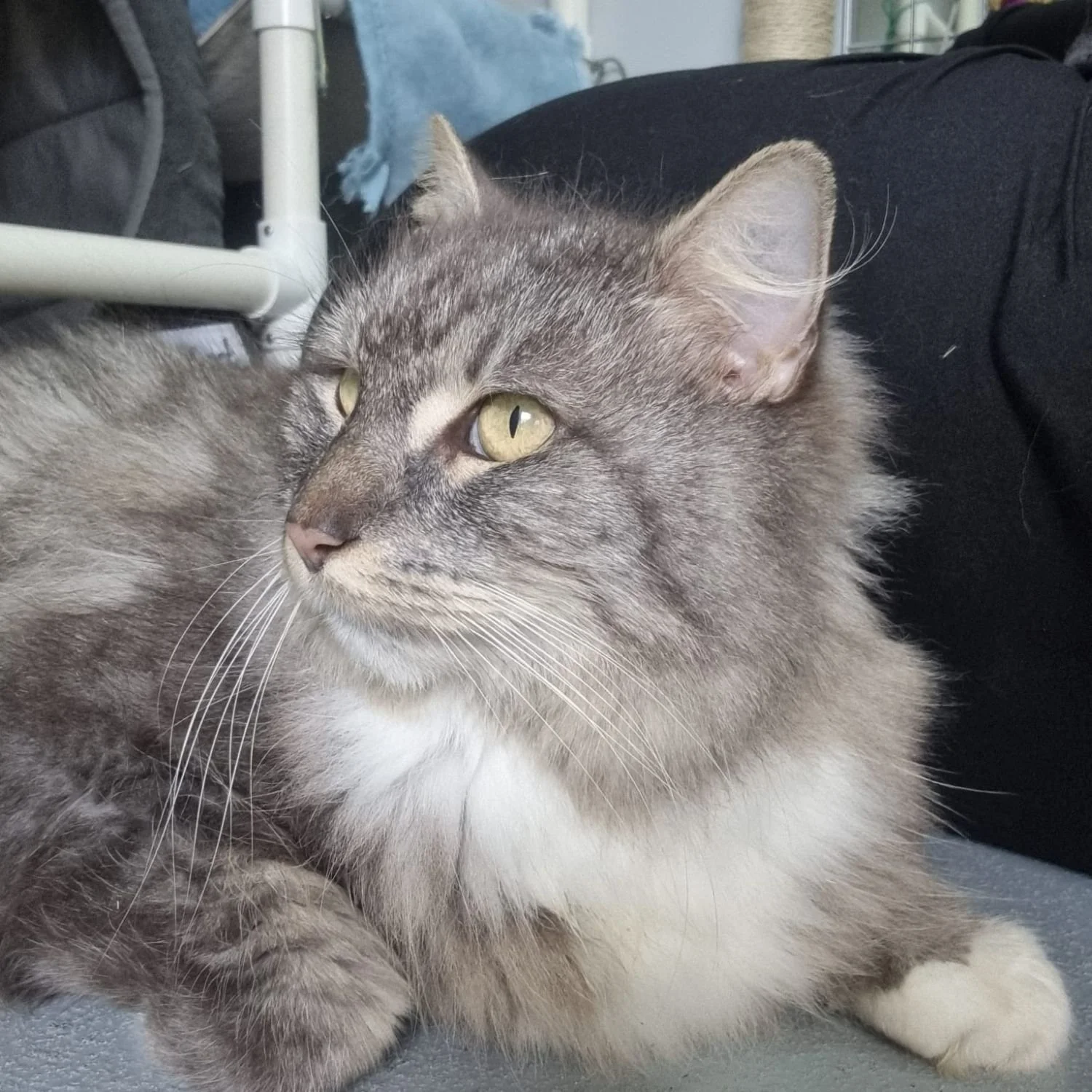 lucy-12.jpg