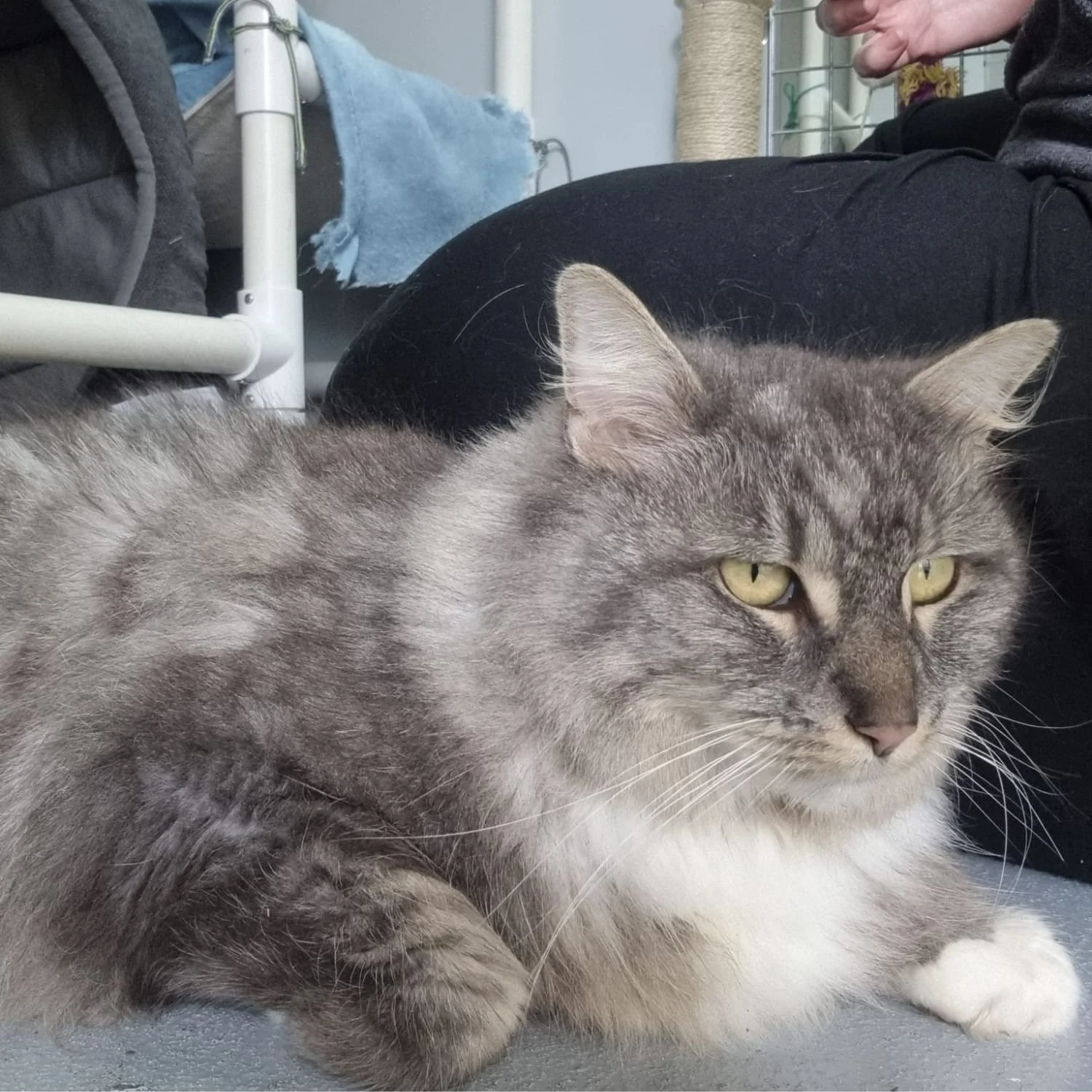 lucy-13.jpg