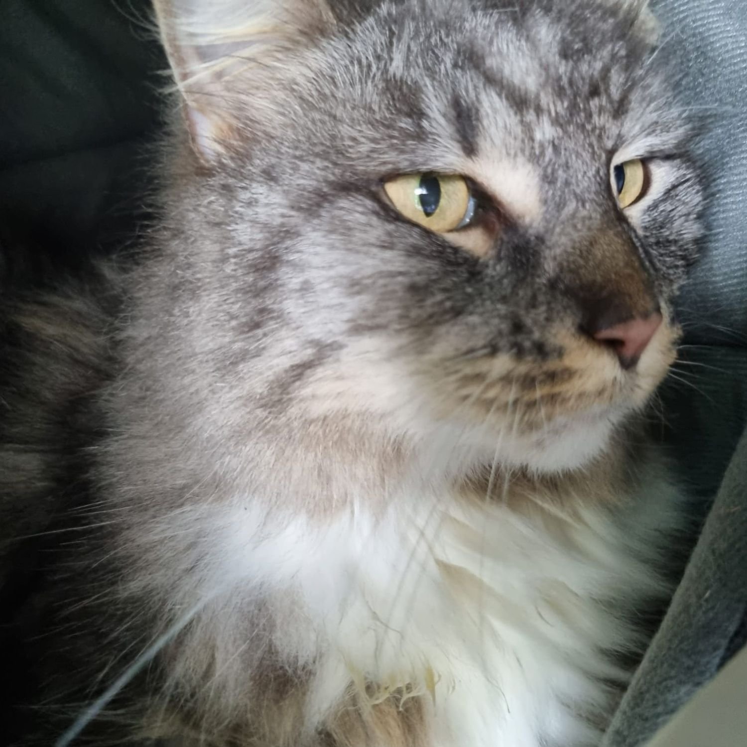 lucy-14.jpg