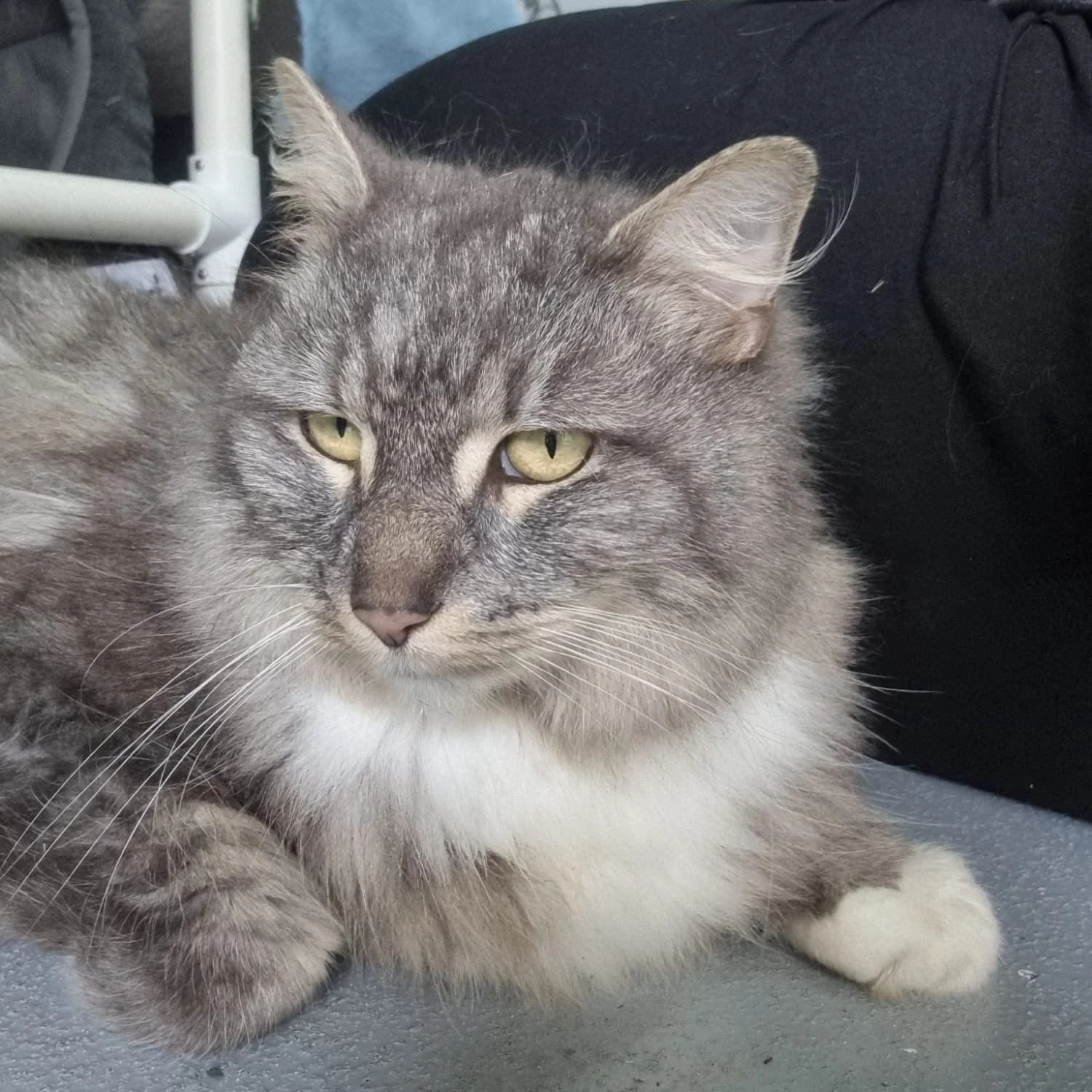lucy-15.jpg