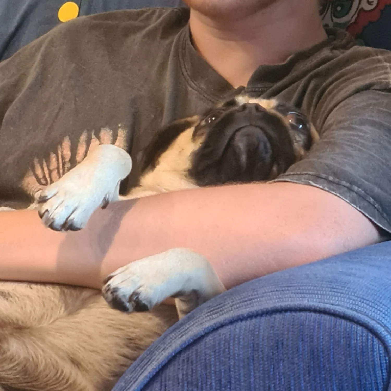 marley-3.jpg