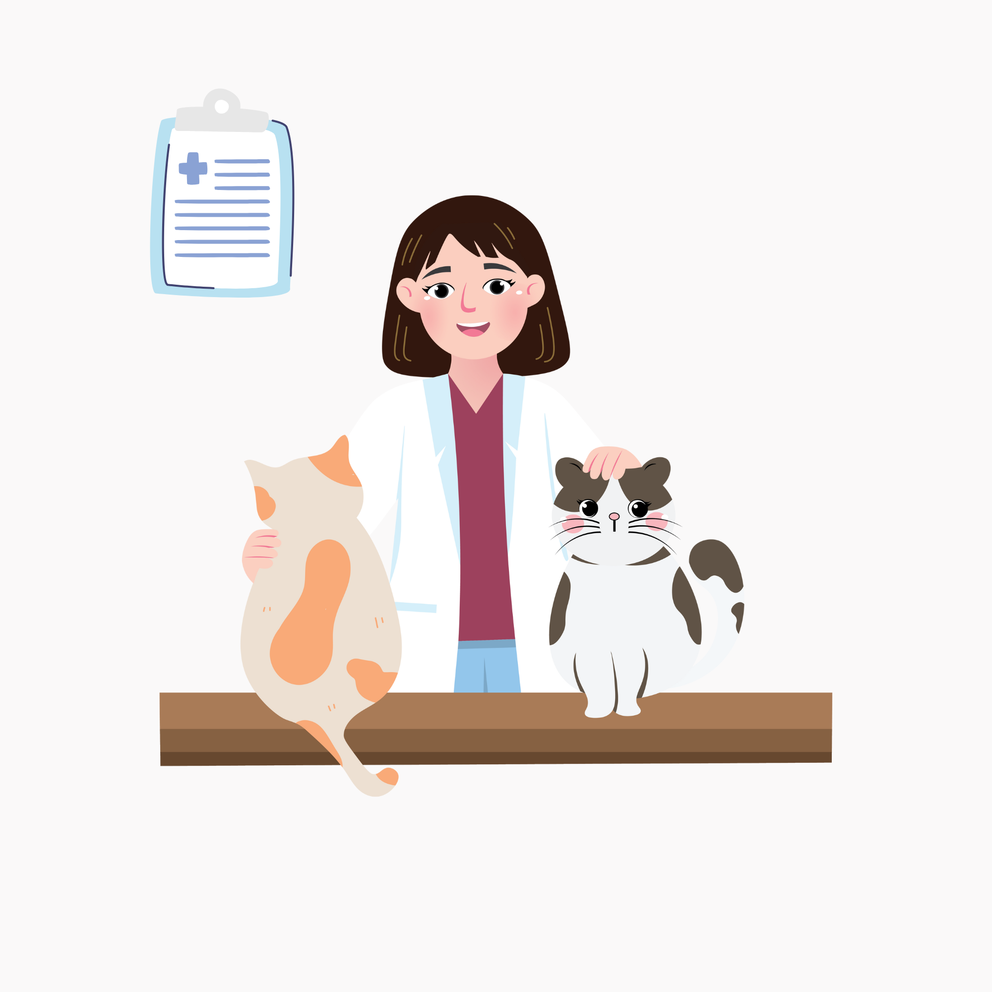 full-kitty-care-pack.png