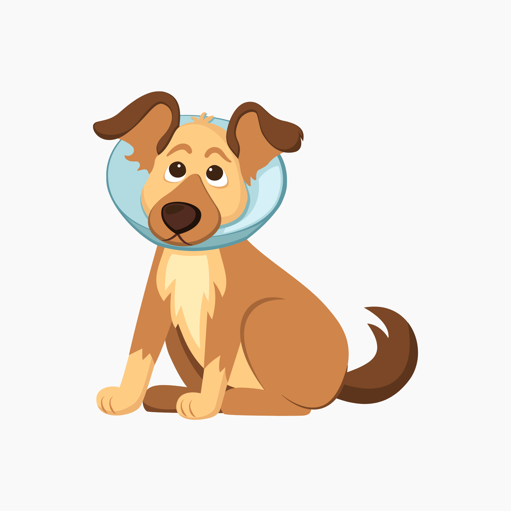 dog-castration-large.png