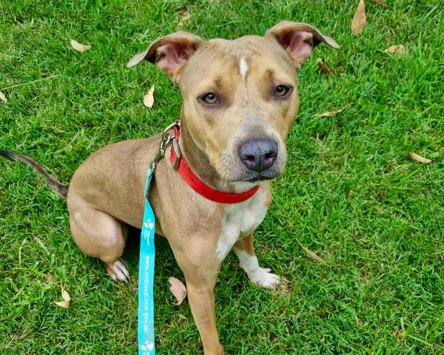 Riley - Coming Soon!