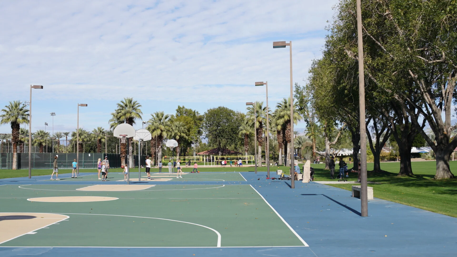 The Ultimate Palm Springs Park Guide! — MiLOWE