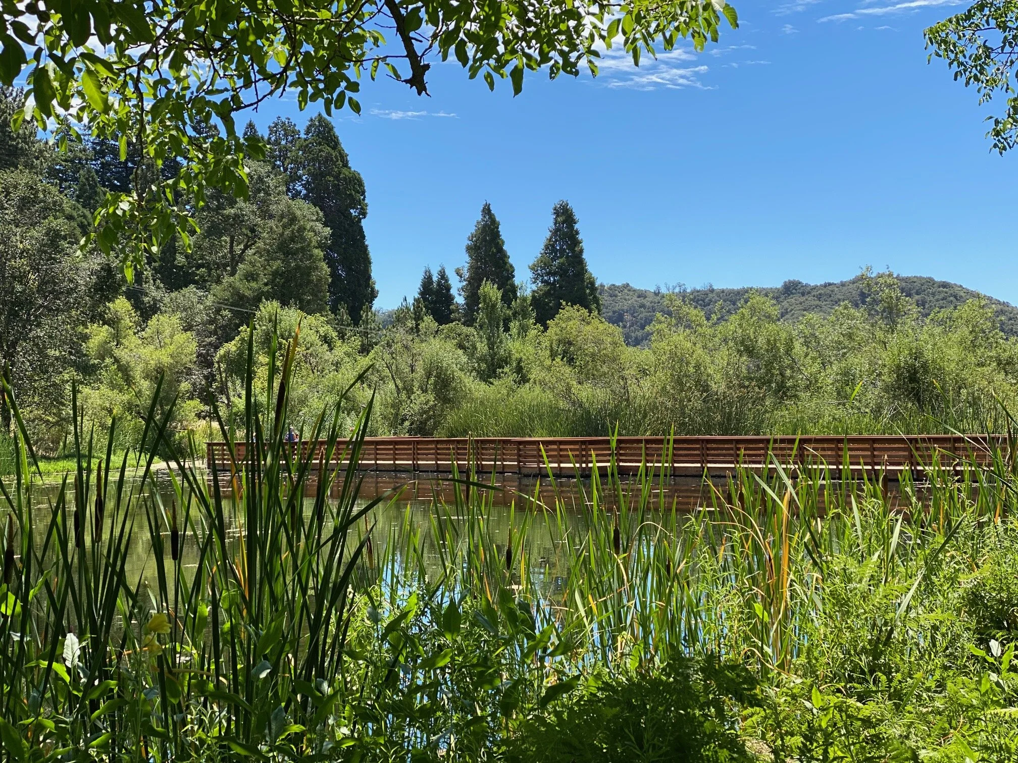 Exploring Oak Glen Preserve in Yucaipa (With Kids) — MiLOWE