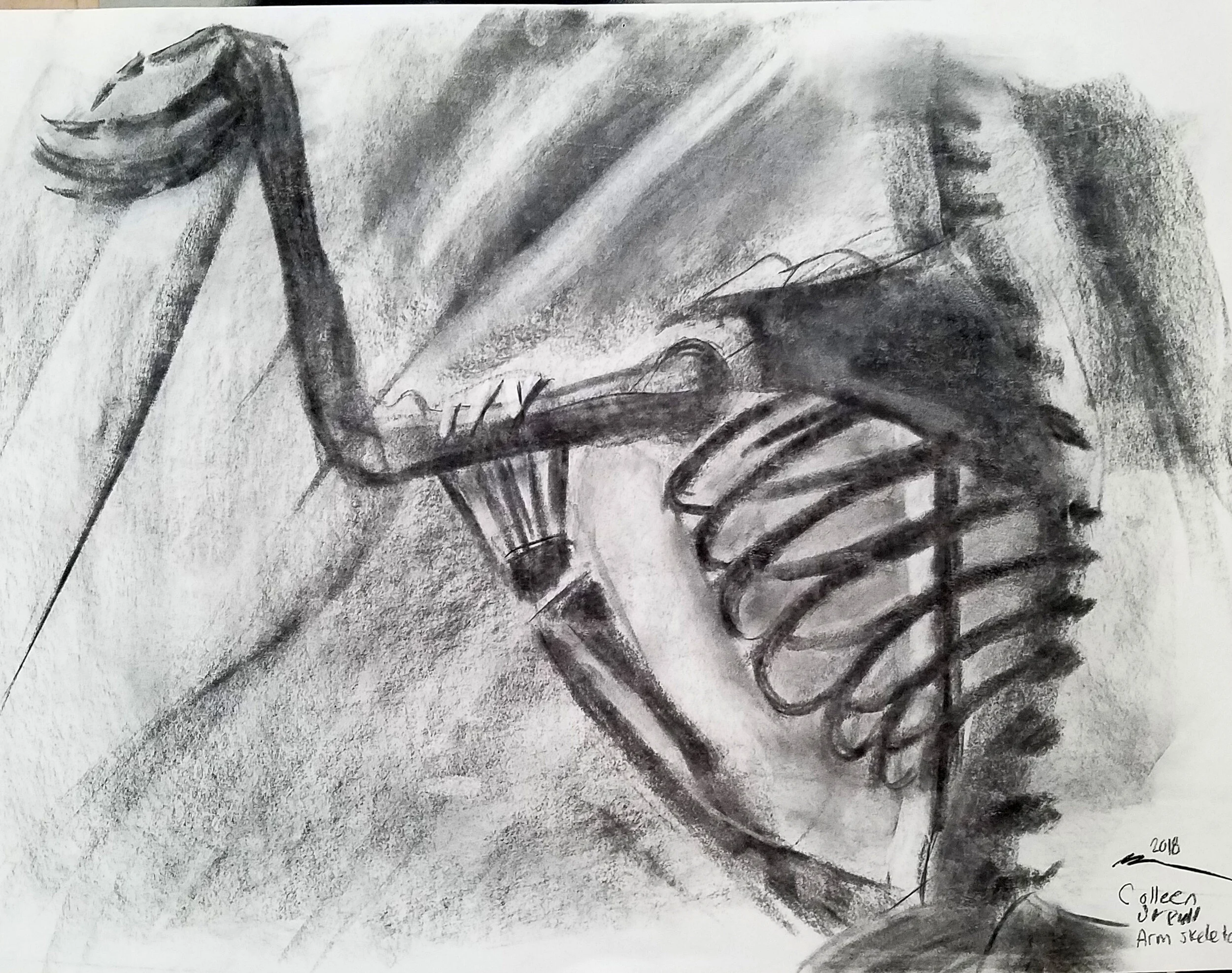 18 x 24 Weary bones, charcoal