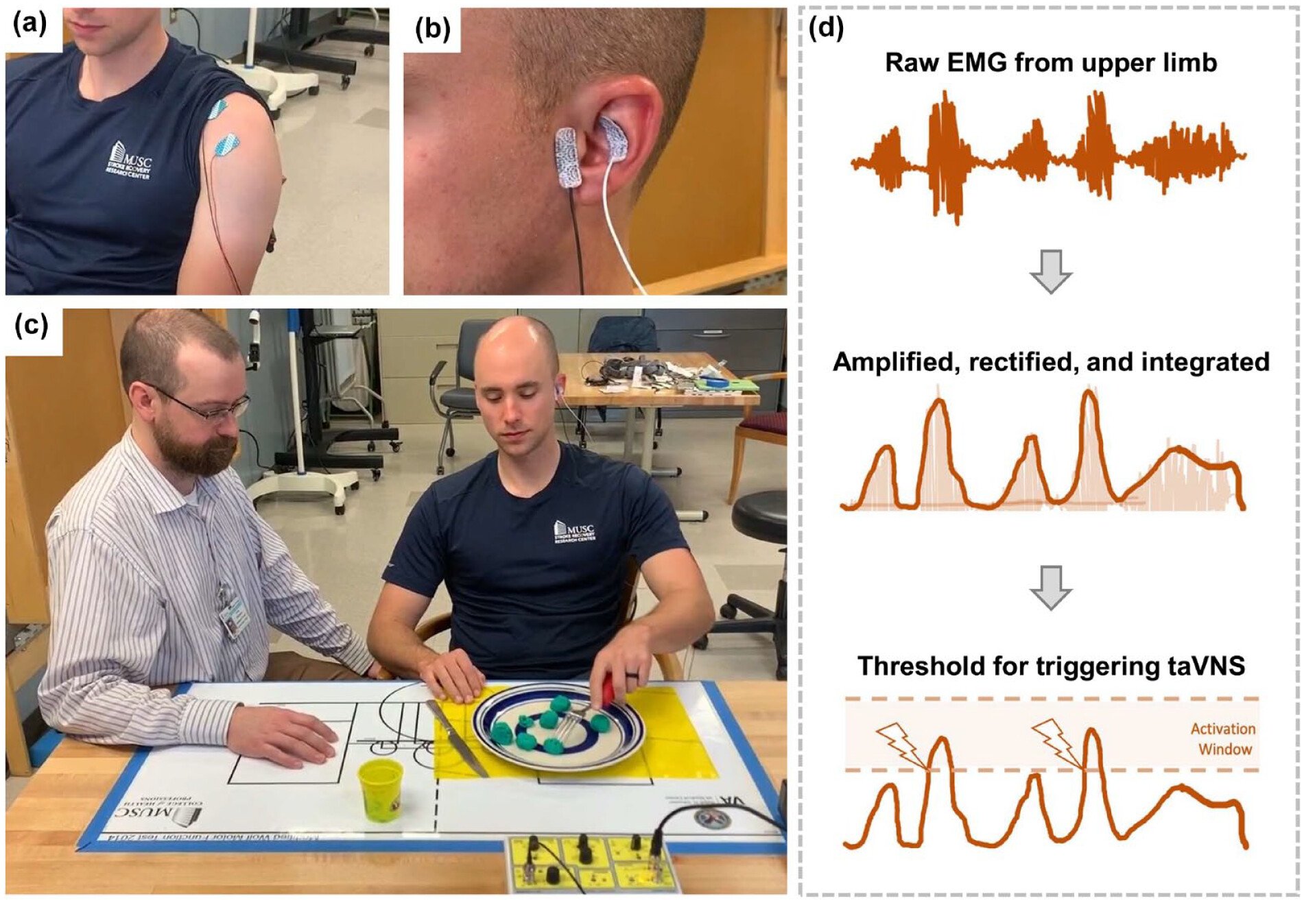 Motor Activated Auricular Vagus Nerve Stimulation as a Potential Neuromodulation Approach for Post-Stroke Motor Rehabilitation: A Pilot Study