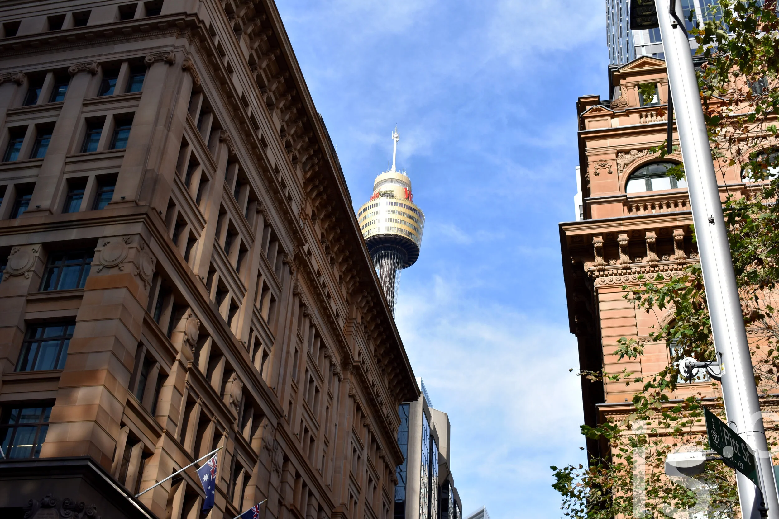 DSC_0063.jpg