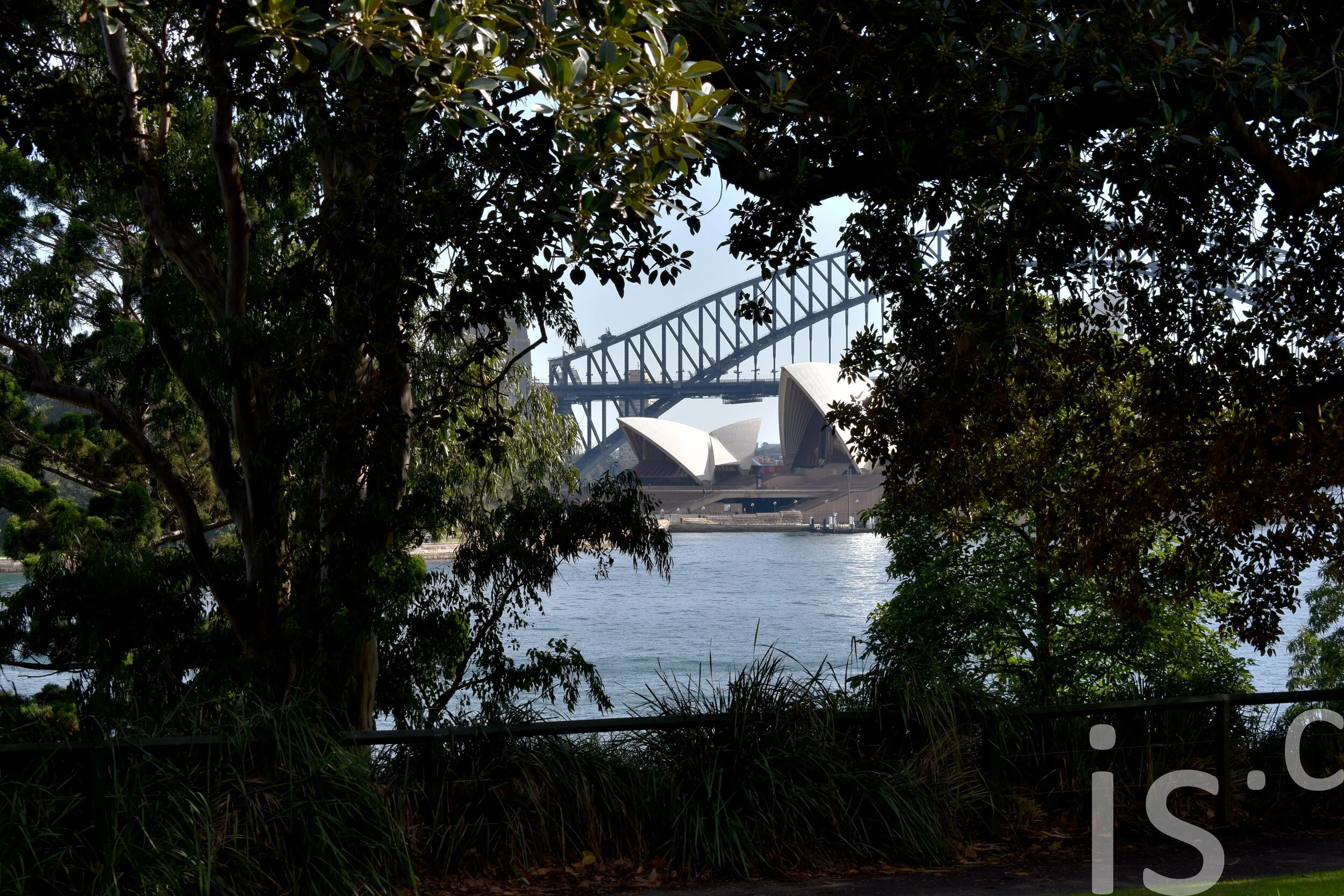 DSC_0106.jpg