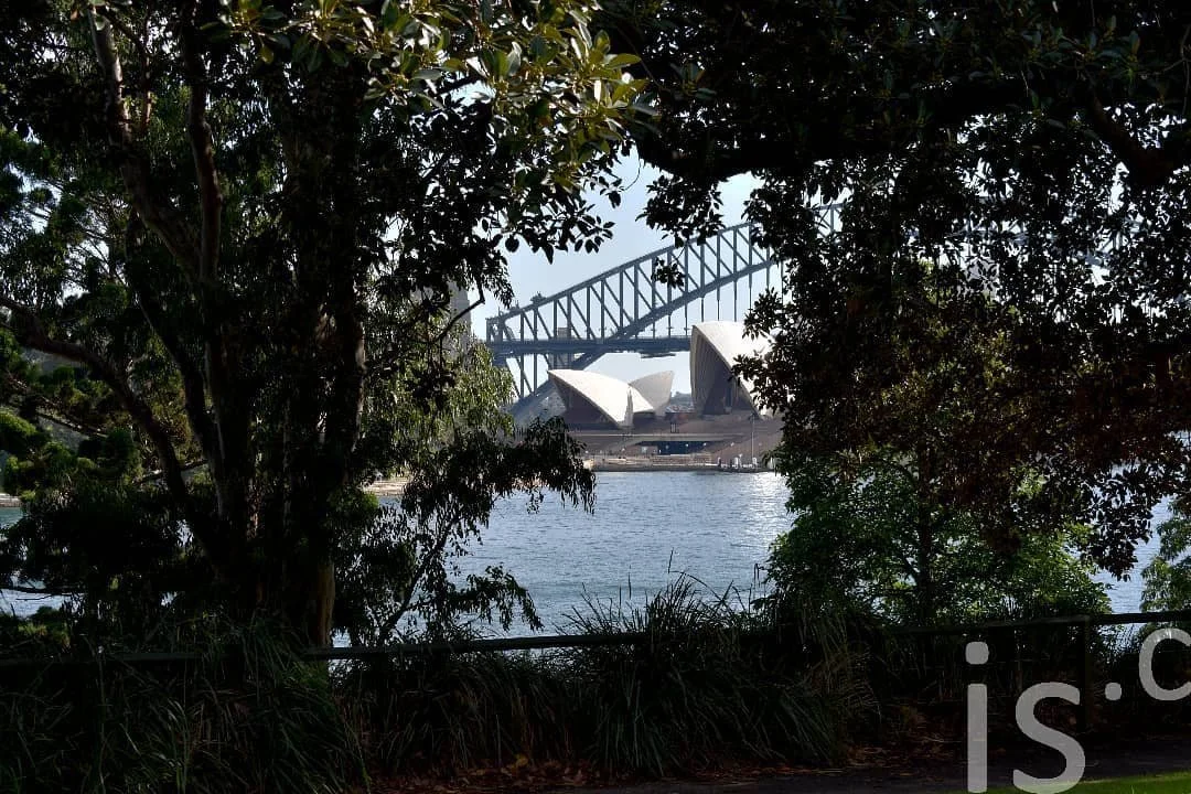 Royal Botanic Gardens, Sydney, NSW - &copy; Izzac Scott 2020

#sydneylife #cyclinglife #lifeontwowheels #localsightseeing #izzacscottcom