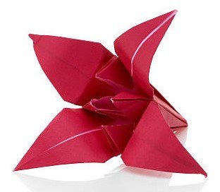 Origami Iris.jpg
