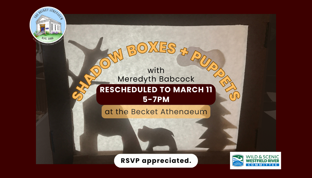 Shadow Boxes + Puppets with Meredyth Babcock