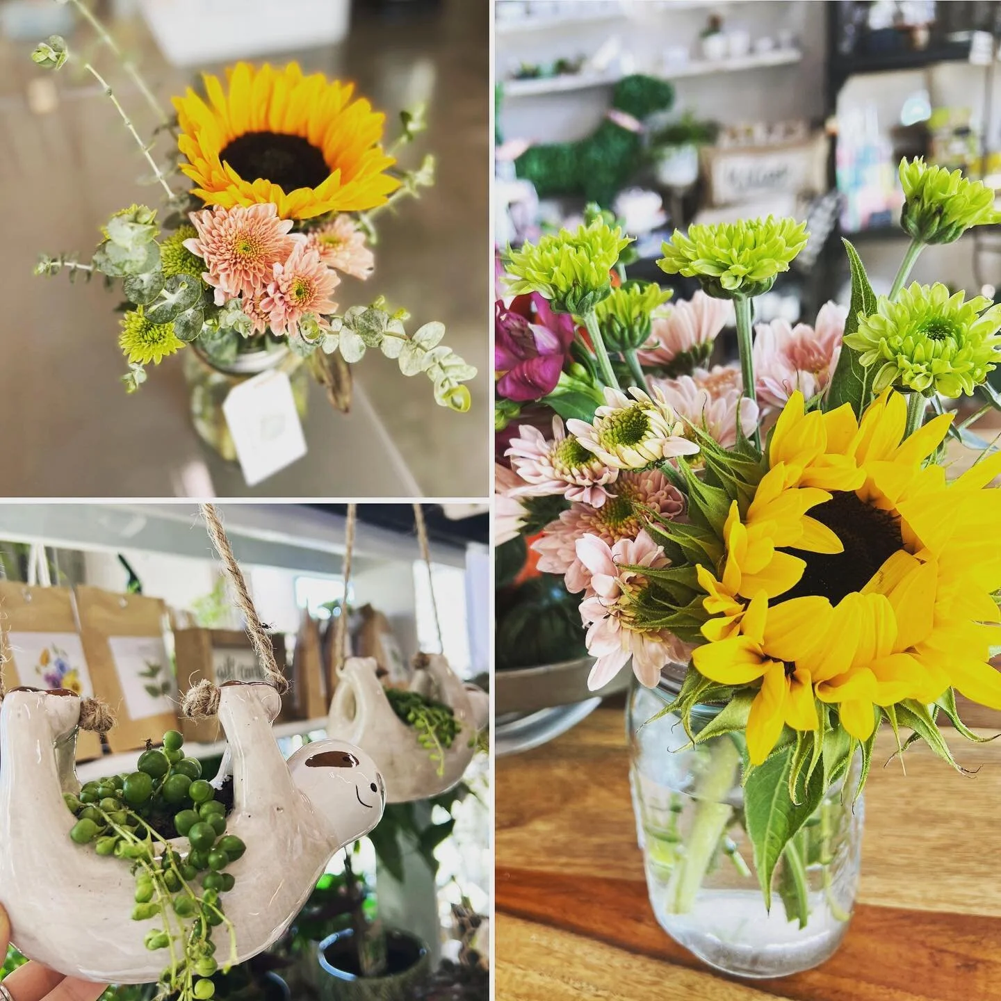 Cheerful mason jars filled with fresh-cut flowers $16 this week @justalittlelittlesomething while supplies last. 💐 will have fresh bouquets at Miners Day on Monday! Open until 5 p.m. #freshflowers #succulents #stringofpearls #houseplants #justalittl