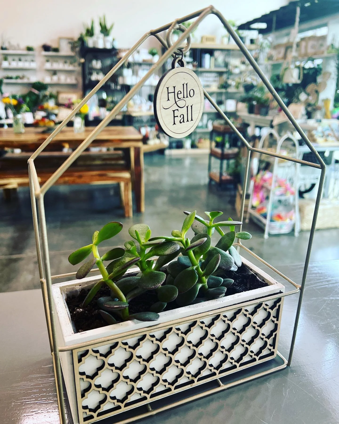 Happy Friday Eve Friends! @justalittlelittlesomething will be open for business 8:30 AM- 5 PM tomorrow, Friday, September 2nd. Our fall themed arrangements are revealing themselves and so far they seem to be a hit! Pictured above is one of new design