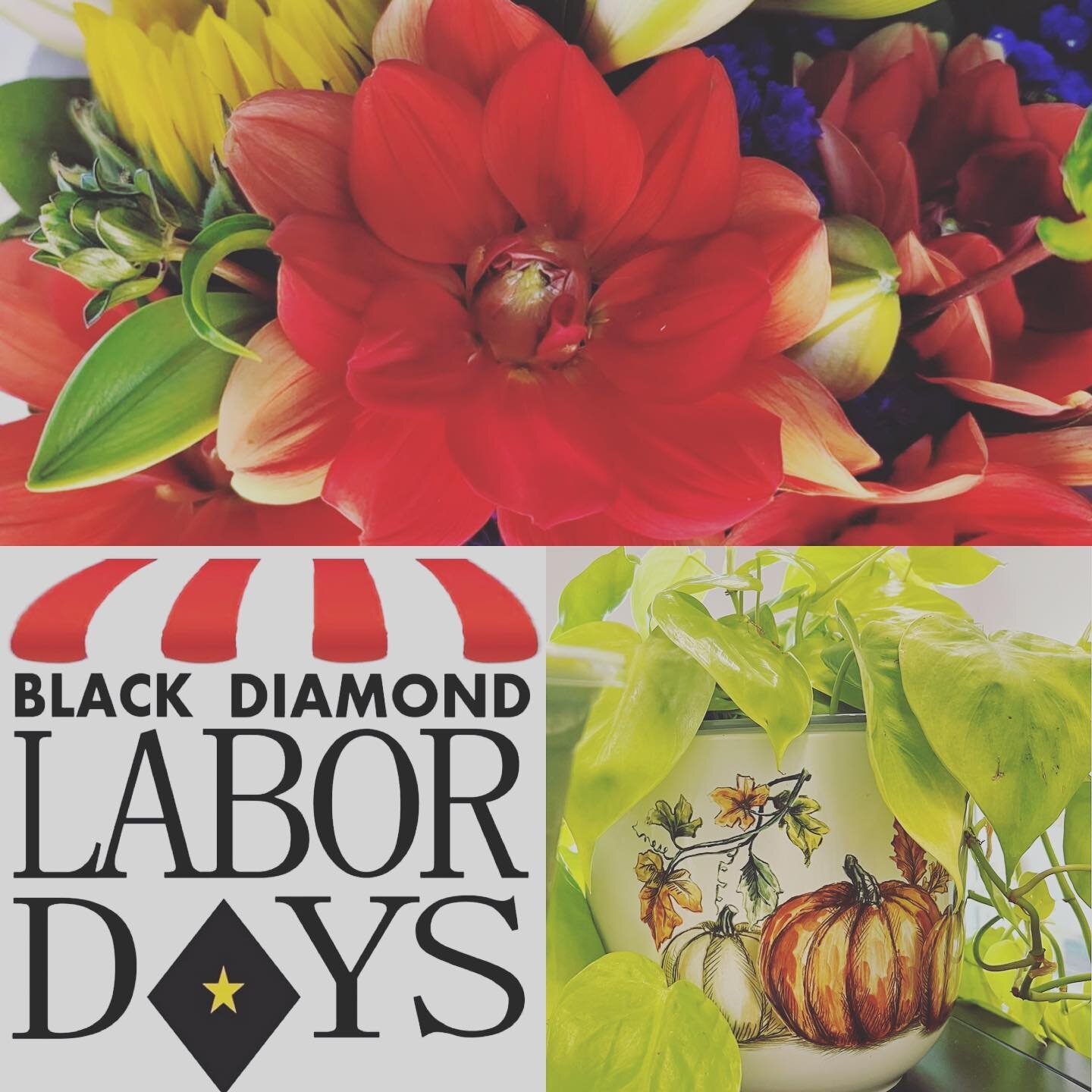 Happy Labor Day Weekend Community! You can find us in our store @justalittlelittlesomething in Black Diamond today, until 3 PM- hope to see you!  Also- on Labor Day, Monday, we&rsquo;ll have a booth @blackdiamondlabordays .  Swing by and shop after t