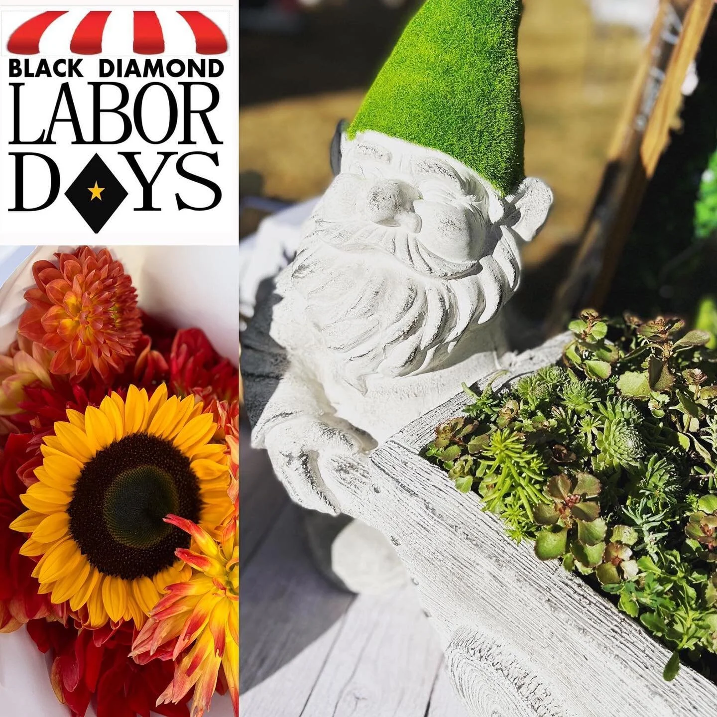 Parade starts at 10 AM @blackdiamondlabordays ! 🇺🇸 Vendor booths, face painting, and food trucks (@cascadiapizzaco @fivehooksfish and more!) until 4 PM today, September 5th! We&rsquo;re showcasing succulents, farm-fresh flower bouquets ($25), house