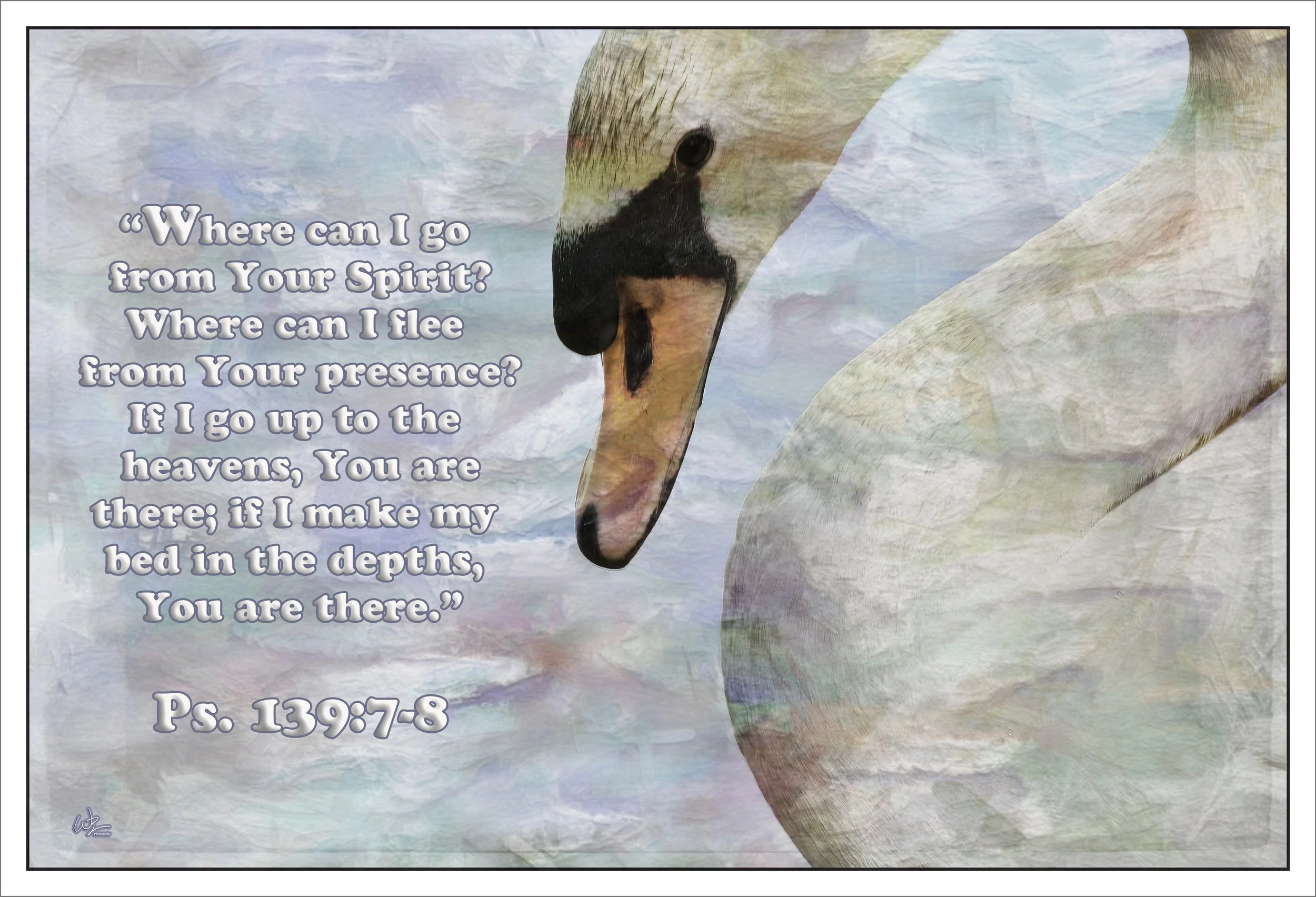 DSC_0267SL_pe copy.jpg